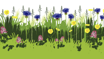 Bloemstroken